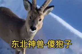 piC傻漓?a?轈?>(不爱就算了pixxie)
